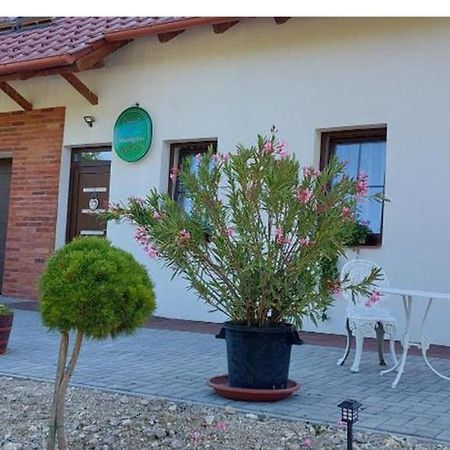 Patak Vendeghaz Hotel Zalaegerszeg Luaran gambar